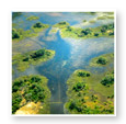 Okavango
